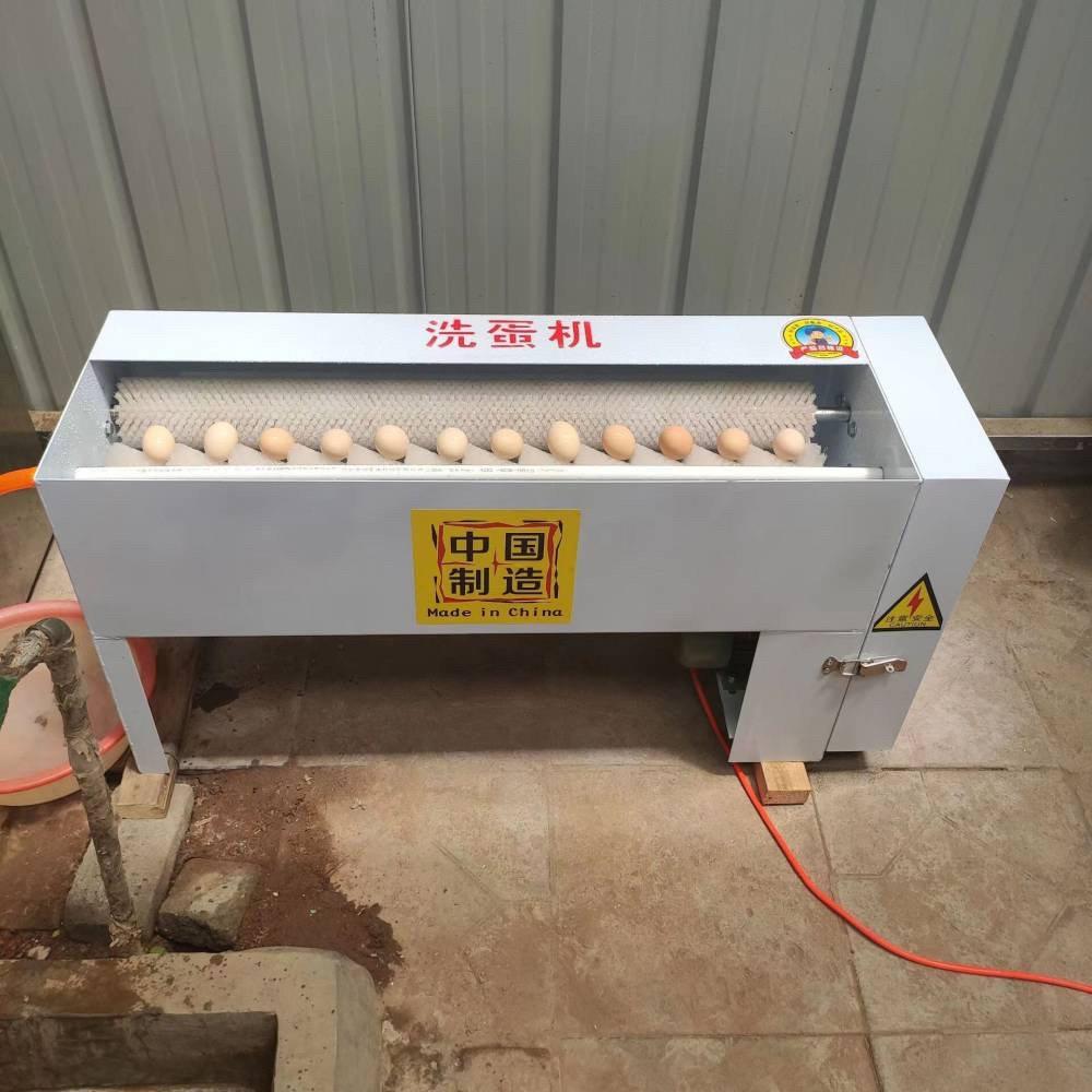 全自动小型商用洗蛋机尼龙毛刷辊麻酱鸡蛋泥蛋腌咸鸭蛋品清洗机器