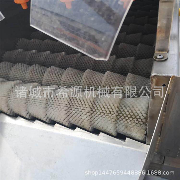 鼓泡清洗机水果冬枣清洗机毛刷洗南酸枣设备喷淋冲洗清洗设备