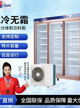 饮料柜超市水果冷藏冰柜单门商用立式三门冰柜冷藏展示柜啤酒柜