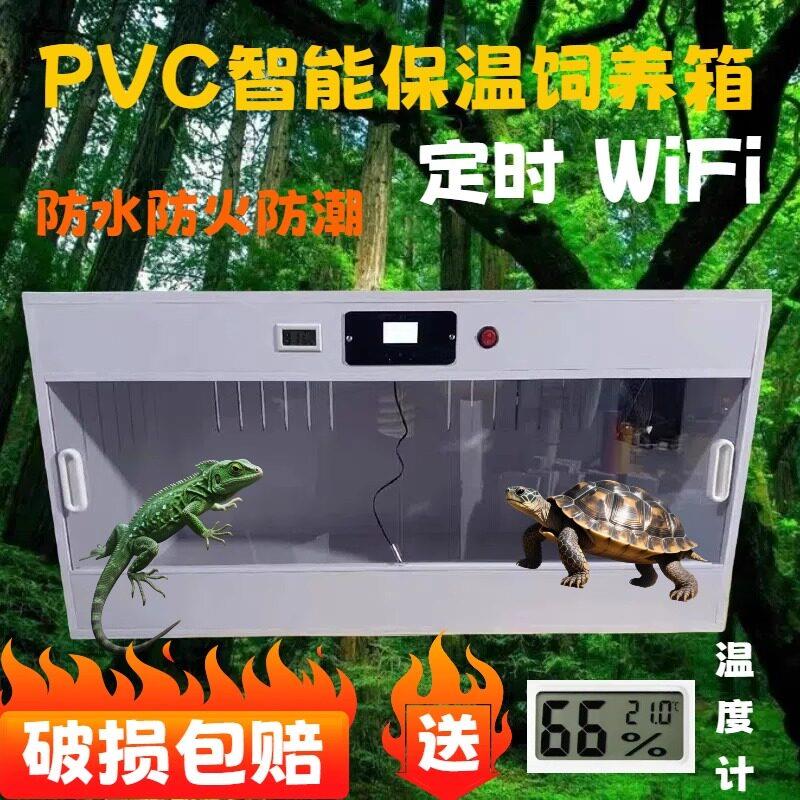 PVC智能定时保温箱芦丁鸡饲养箱鬃狮蜥蜴守宫陆龟刺猬睫角恒温箱