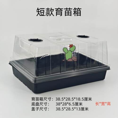 加高育苗盒扦插出芽带盖子多肉闷养保温播种盘保湿育苗盘箱