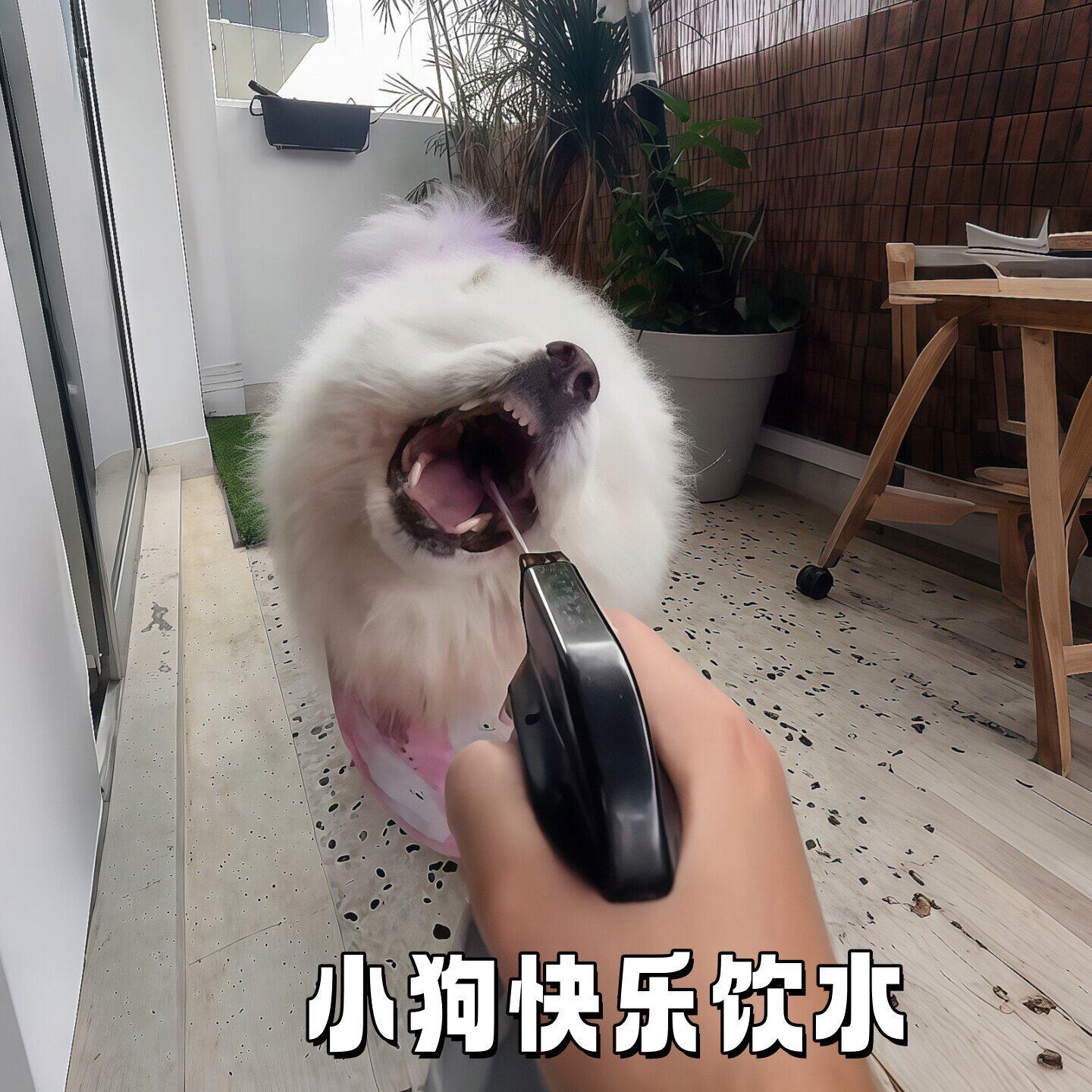 小狗喝水神器外出便携式大中小型犬静音饮水器猫咪宠物喷水水壶