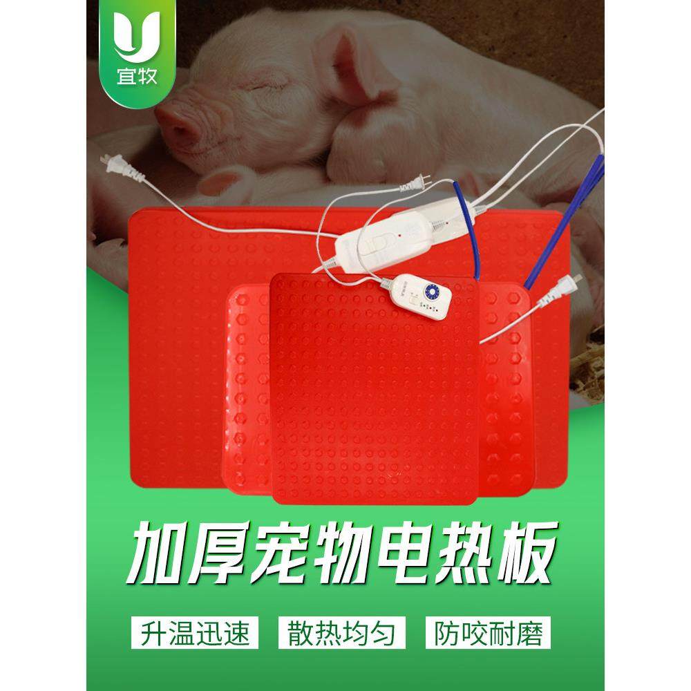 宠物电热板狗笼保温板宠物兔子猫兽用电热板小型动物取暖加热垫子,宠物/宠物食品及用品,宠物电热板/电热毯,淘宝优惠券,粉丝福利购,淘宝优惠卷