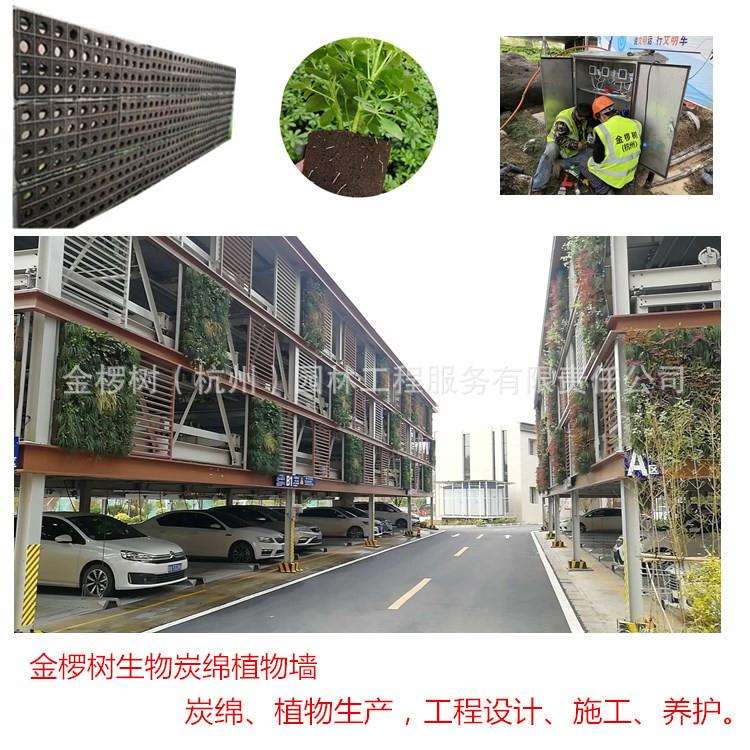 金椤树生物炭绵真植物墙垂直绿化无土海绵绿植炭泥垒土黑绵土施工