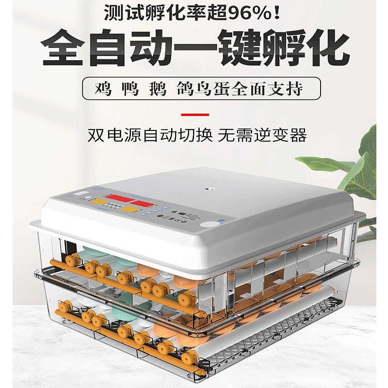 家用迷你孵化器智能全自动小鸡孵蛋器跨境鸡蛋孵蛋机36枚孵化箱
