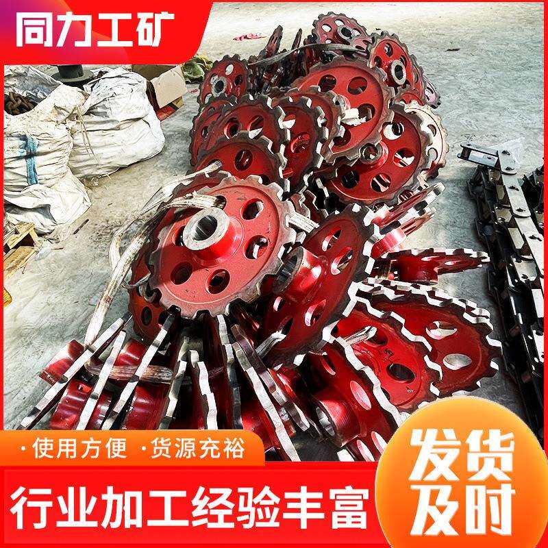 提升机链轮工业传动不锈钢齿轮单双排链轮窝轮刮板机内窝链轮