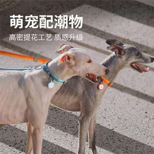 Pawaii怡爪狗狗项圈宠物防勒中大型犬泰迪柴犬脖圈外出丢失牵引绳