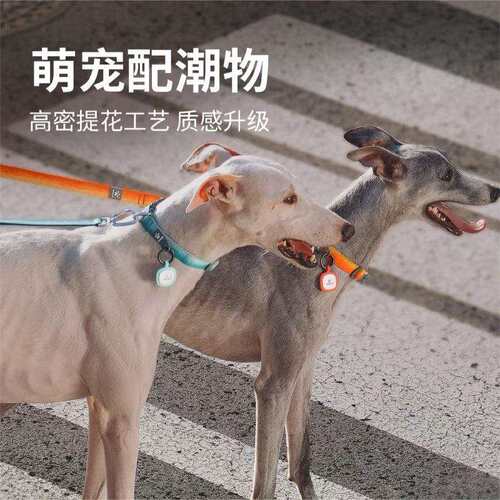 Pawaii怡爪狗狗项圈宠物防勒中大型犬泰迪柴犬脖圈外出丢失牵引绳
