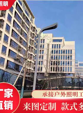 LED市电路灯杆市政道路6米双臂单臂LED路灯户外高低臂异型路灯