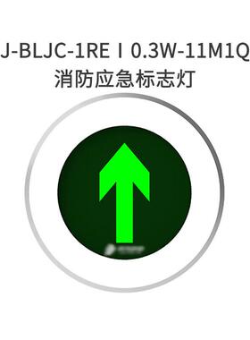 北大青鸟应急照明疏散J-BLJC-1REⅠ0.3W-11M1Q集电集控型标志灯