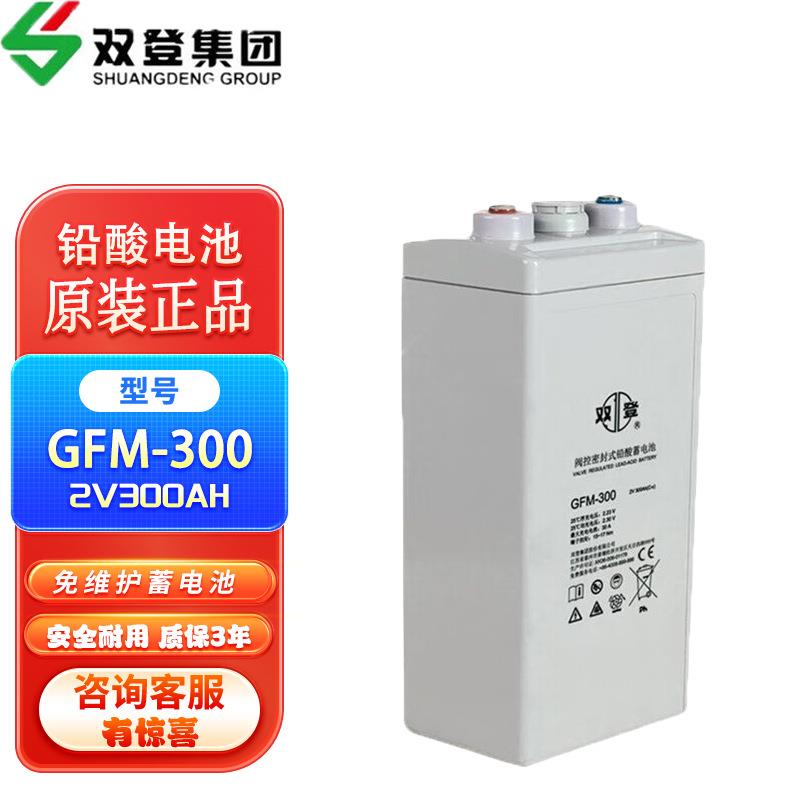 铅酸免维护蓄电池双登2V/GFM-200/GFM-300/GFM-400/GFM-500AH电厂