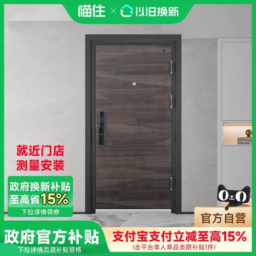 盼盼防盗门DS11甲级防盗门家用子母门别墅大门指纹锁进户门安全门