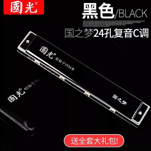 新款正品海国光口琴成c2人8孔重音专业演奏级上24孔复音调初学者