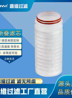 亲性聚四氟乙烯折水ZPI学叠滤芯高精度滤液体过电子级化品过长寿
