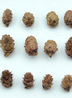 50pcs Natural Cheap Mini Pine Nuts Artificial Fake Fruit Veg