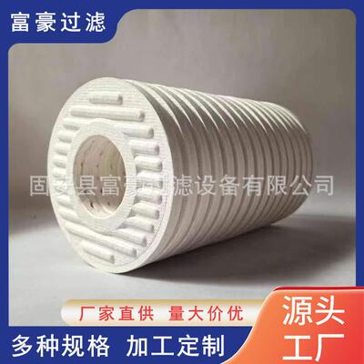 适用于CJC滤芯cjc滤油机PA5601325废油再生吸黑吸水滤清器