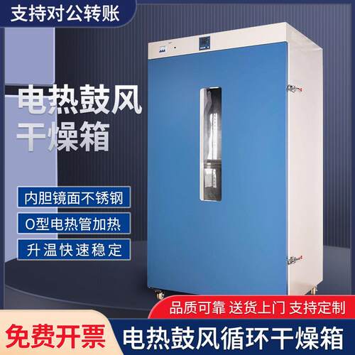 智能控温电热鼓风干燥箱实验室RT10-300°C恒温食品中药材烘烤箱