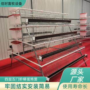 A型阶梯蛋鸡笼四层五门阶梯蛋鸡笼冷镀锌鸡舍家用养殖场源头厂家