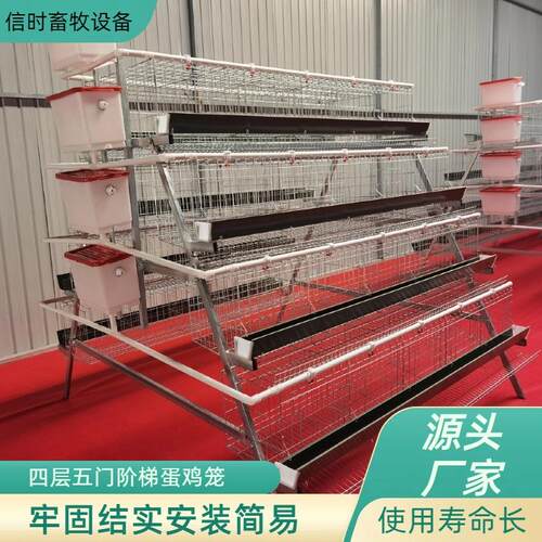 A型阶梯蛋鸡笼四层五门阶梯蛋鸡笼冷镀锌鸡舍家用养殖场源头厂家