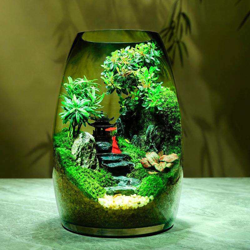 杜鹃亭植物生态桌面创意盆栽好养摆件景观苔藓办公室造景绿植盆景