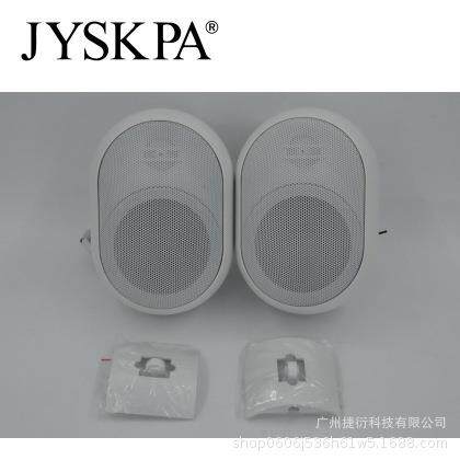 捷衍挂壁喇叭教室定压壁挂音箱校园广播系统店铺背景音乐