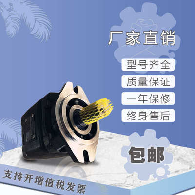 海特克内啮合齿轮泵HG1-125-01R-VPC注塑机伺服油泵 美国SUNNY