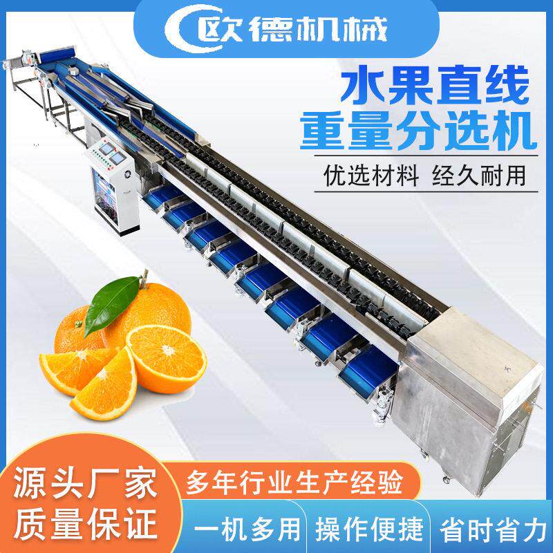 水果智能分选机 橙子橘子柑橘智能分选重量分拣 土豆洋葱重量分选