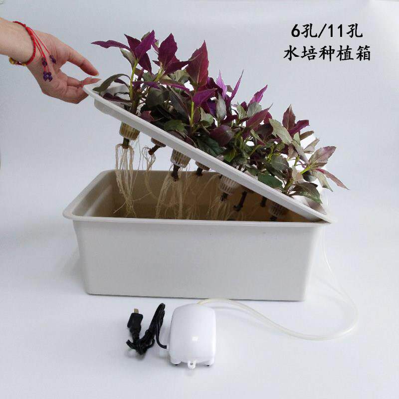 无土栽培蔬菜设备家庭室内种菜花卉水培种植花盆阳台种植箱种菜箱