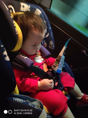 使用解读阿布纳造型师2190汽车儿童安全座椅怎么样，真相如何，不看后悔！