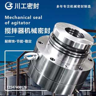 O2O2V261 机械密封 261 65S3 0202V1800991261型机械密封 65S15