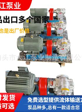 KCB-300不锈钢化工泵KCB300高温齿轮泵齿轮泵高温不锈钢泵