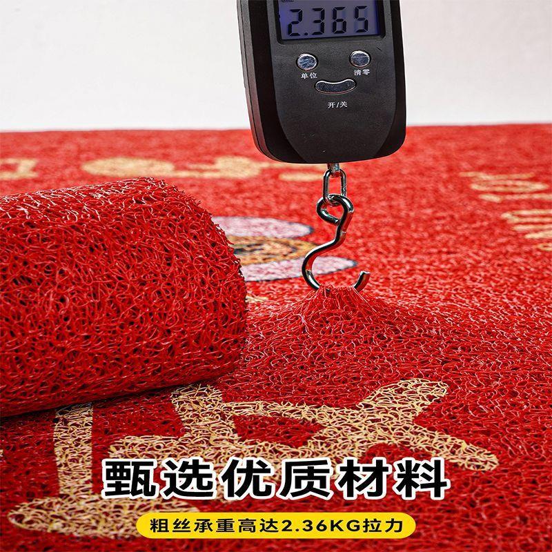 丝圈入户门垫红色门口地垫进门出入平安脚垫家用卫生间玄关垫包邮