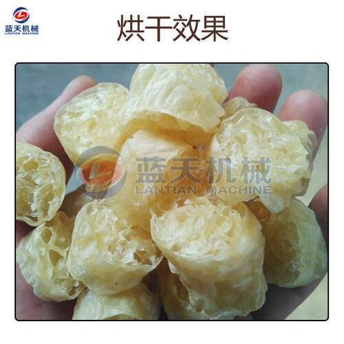空气能干面藕面圈烘干机大型热风循环藕LT-MOJ圈面烘干机品豆制烘