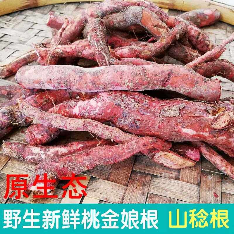 野生新鲜山棯子根煲汤泡酒500g包邮桃金娘岗稔根乌当泥根稔子树根