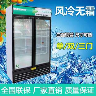 冷藏展示柜保鲜饮料柜商用超市冰箱小型啤酒柜立式双门冰柜