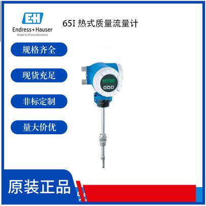 Proline t-mass B 150 热式质量流量计 适用于经济型测量和常用气