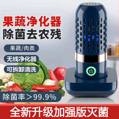 德国超声波果蔬清洗机家用水果蔬菜肉类净化器食材去农残杀菌消毒