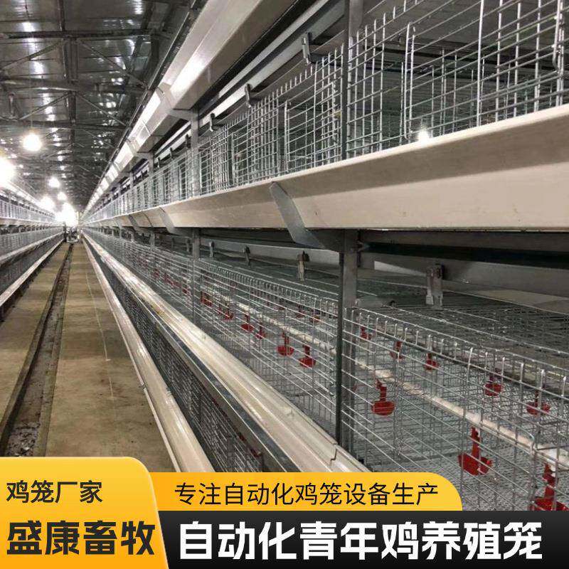 青年鸡舍鸡笼子多层叠式鸡笼子养殖场自动鸡笼自动上料清粪鸡笼