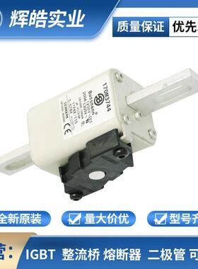 170M3744/170M3809/170M3810 新能源低压快速熔断器配件 电子元件