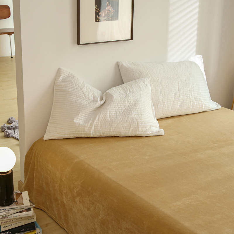 被加牛奶加厚冬季床单天鹅绒法兰绒绒绒保暖绒单件单人毛毯珊瑚