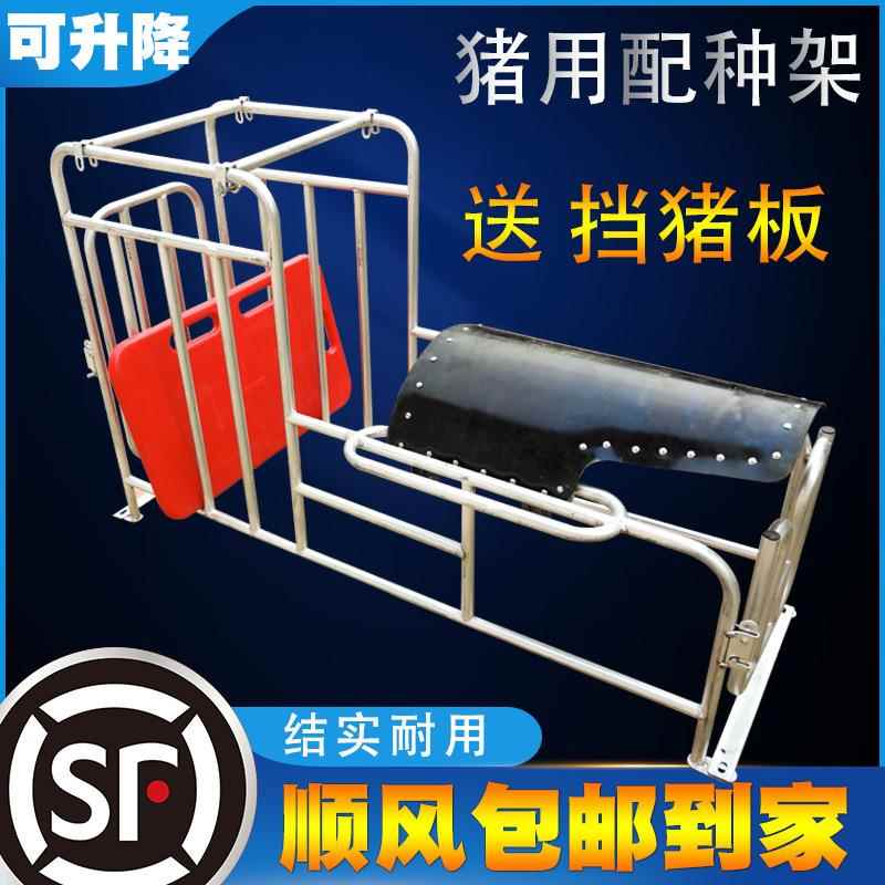 猪用配种架子栏升降配种架猪用采精支架小母猪配种架受精器配种器
