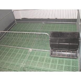 猪用复合保育床 仔猪保育床 双栏带食槽 小猪保育栏 小猪保育床