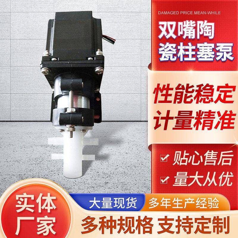 双嘴陶瓷柱塞泵柱塞计量泵双嘴喷雾无阀泵现货可调泵双缸水泵