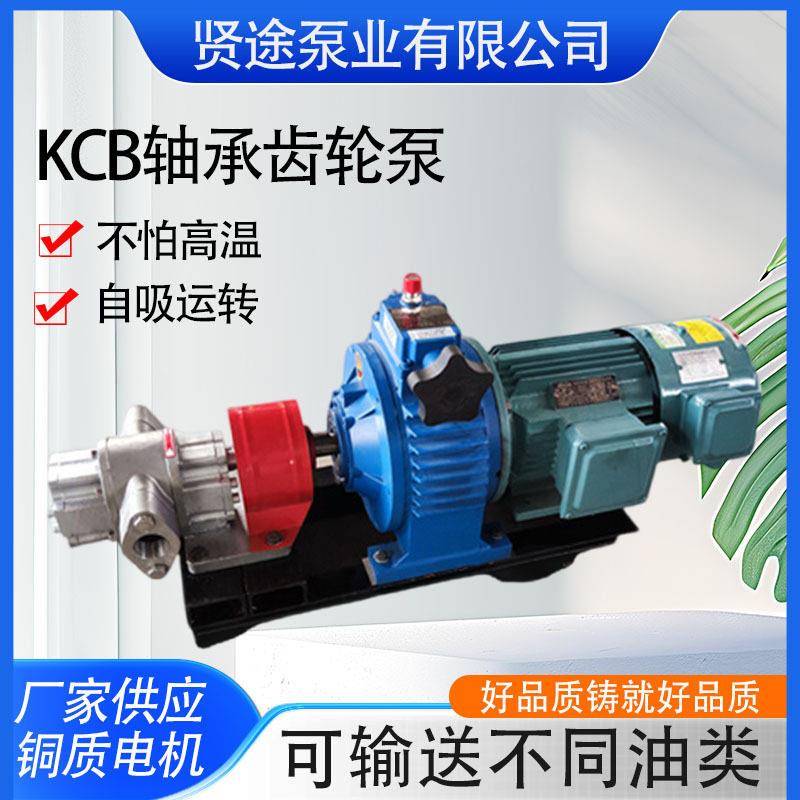 不锈钢轴承齿轮油泵汽油柴油输送泵KCB83.3型耐温润滑油泵