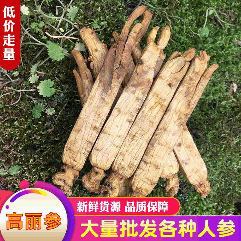 厂家直售高丽参别直参压条参无糖黄皮新鲜货源品质保证