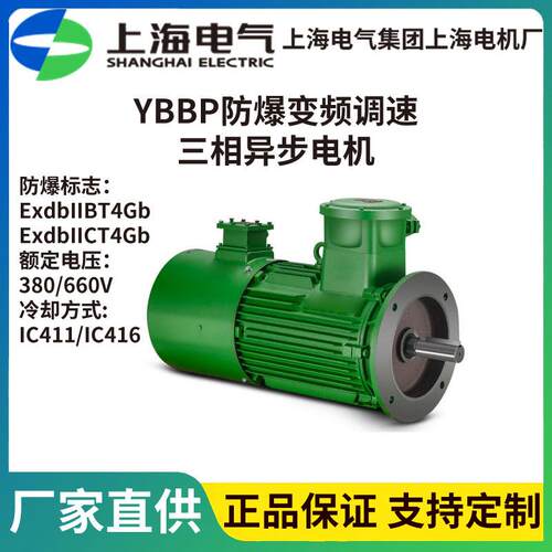 上电电机YBBP隔爆变频电机防爆等级ExdbⅡBT4上海电气上海电机厂