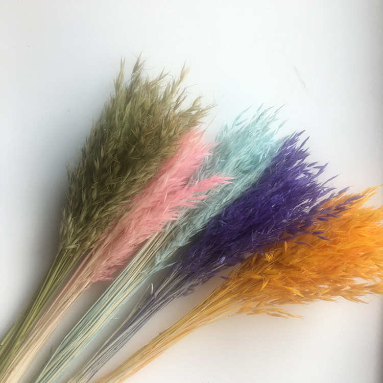 拍摄家居装饰 燕麦干花干花花束厂家批发 道具