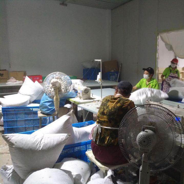 新款直销白鹅绒羽绒枕头皖西工厂成人枕护颈酒店四季家用长软枕芯