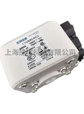 170M6462 170M6463 快速熔断器 保险丝 电子元器件 量大价优