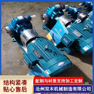 不锈钢KCB系列齿轮泵KCB 0.36齿轮输油泵厂家供应 200泵头2CY12